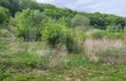 Investitie! Teren intravilan, 1252mp, Feleacu/Wonderland - 4