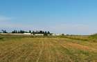 Teren intravilan 2,502mp Moara Vlasiei - 5
