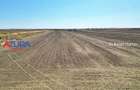 Teren agricol, 5HA, comasat, drum acces, Cateasca - 7