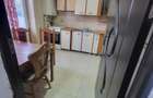 Apartament 3 camere Dna Ghica centrala proprie, loc de parcare - 6