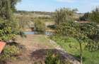 Casa P+1, cu IAZ privat, Murighiol,2289mp - 16