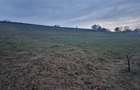 De vanzare teren 1,2 Ha in Laureni - 1