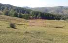 Teren intravilan de vanzare in Breaza (dezvoltare imobiliara) - 3