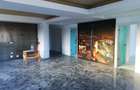 Penthouse Gavana Platou + terasa 470mp - 7