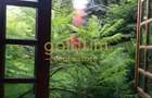 CASUTA DIN POVESTI/CURTE 1100MP/GRADINA MAGICA/SAUNA/PISCINA/SNAGOV - 55