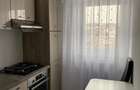 Închiriere apartament cu o cameră Bucium Vișani  - 8