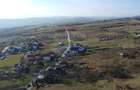 Teren 20.146 mp Dâmbu Rotund (Lomb).Extravilan.Potențial rezidențial - 14