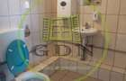 Spatiu Comercial Sibiu - 19