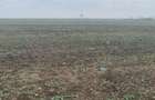 Tunari-Dimieni  Vanzare  Teren intravilan - 5