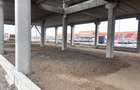 Proprietate Business de Exceptie langa Centura Oradea – 1.800 mp cu Vizibilitate - 13