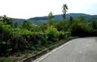 Teren Intravilan, utilitati in zona, 2600 mp, Draganeasa, Prahova - 6