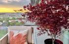 Apartment 2 camere . Complex Up-Site Floreasca  - 13