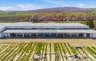Spațiu industrial 4.4Ha Teren și 15.000mpc - Zona Industrială - Hârlău - 18