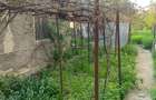 Voluntari   Popasului  Vanzare  Casa batraneasca teren 1400mp - 8