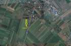 Teren intravilan la intrare in Bod, dinspre Sanpetru - 3