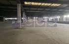HALA | DEPOZIT - OTOPENI CENTURA  |  20.0000 MP - 12