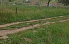 RECO Teren intravilan Hidiselul de Jos langa padure - 3