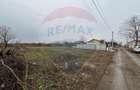 Teren de vanzare,  suprafata 1001 mp, Branesti,   lfov - 8