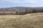 Teren intravilan 11.300mp, Barnova, cu acces auto si front stradal - 3