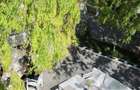 Afacere la Cheie: Complex Turistic în Murighiol, Delta Dunării - 14