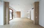 Vila exclusivista Pipera   proximitate Padure   2025 - 9