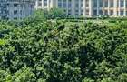 Apartament spațios cu 4 camere, vedere spectaculoasă către Palatul Parlamentului - 1