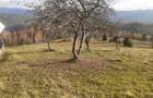 Vind casă și teren în satul Costești, comuna Albac județul Alba   - 10