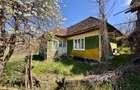 Casa traditionala,zona pitoreasca,domeniu de 3.400 mp,Suveica,Acatari,Mures - 17
