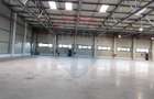 Spațiu industrial Clasa A - Otopeni Hala productie depozitare - 3