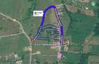 COMISION 0% - Casă cu panoramă spre Piatra Craiului - 800 mp teren -Sohodol-Bran - 18