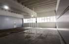 Hala de inchiriat - 119 mp - 1