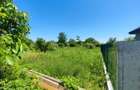 Lot pentru două case – Corbeanca Tamași - 5