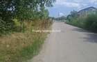 Vanzari Terenuri Baneasa-Agatului - 4