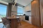Apartament de lux cu terasa  panoramica,  vedere libera , garaj si boxa - 6