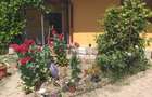 HORIA - 3 CAMERE ,SUPRAFATA 100 MP,TEREN 3000 MP CU DESCHIDERE LA LAC - 13