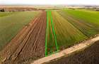 RECO Teren, zona Tamaseu, 5000 mp, dublu front la DN19 cu acces rapid - 3