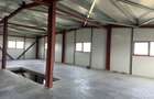 Zona Drumul Intre Tarlale - hala 450mp si birouri 200mp - 7