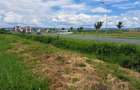 OPORTUNITATE TEREN INTRAVILAN 9000MP-TURNISOR - 3