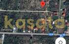 OPORTUNITATE | TEREN | SNAGOV TANCABESTI | CASA | 1000 MP | INVESTITIE - 4
