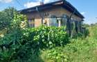 Zona Sarbi – Targoviste - 1