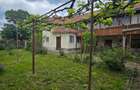Aproape de Marginimea Sibiului, casa in inima unui parc - 4
