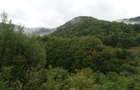 Proprietar-Vând două terenuri, unul de 7.100 mp, celălalt de 25.000 m2 - 8