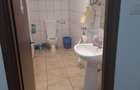 Lipovei birou 20 mp 230 euro - 3
