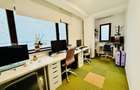Birouri private, spatii creative in vila de lux, zona ultracentrala | Dorobanti - 27