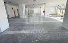 Spatiu comercial // Intre Lacuri  - 3