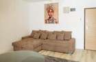 De Inchiriat Apartament 2 camere, Viilor - 6