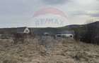 Teren intravilan 2307 mp în Salicea, zona premium, aproape de Cluj - 10