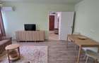 Tineretului Dimitrie Cantemir apartament 2 camere de inchiriat - 13