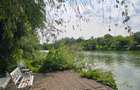 REA1024822 Apartament 3 camere Sisesti - 8