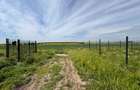 lot 550 mp, Malinului  - 2